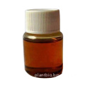 Hot Sell: organic carrot seed essential oil purpose